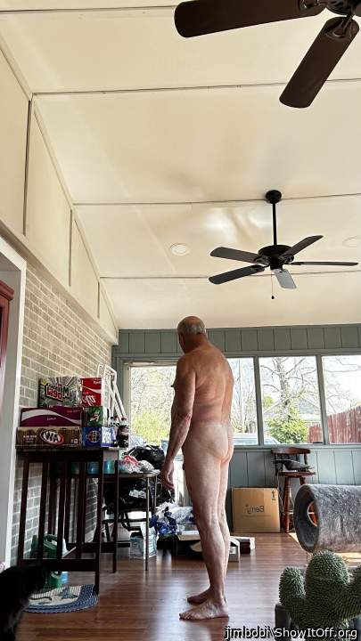 Adult image from jimbobi
