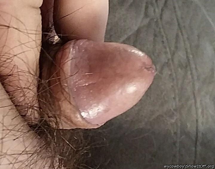 Adult image from wycowboy