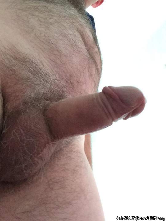 Adult image from Ash2017