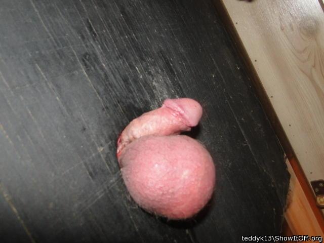 Adult image from teddyk13