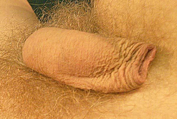 Adult image from slipper