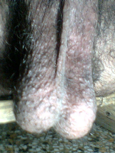 Adult image from luvmycock