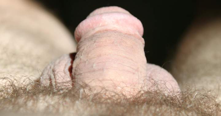 Adult image from lilsoftee