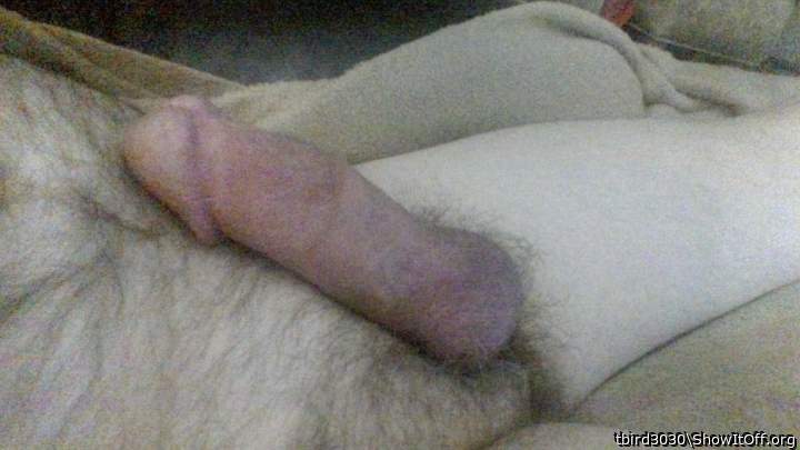 Adult image from tbird3030