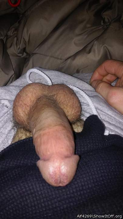 Adult image from Alf4269