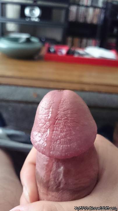 Adult image from Drippythemushroom