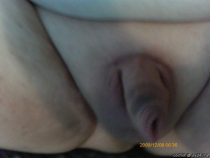 Adult image from cochot