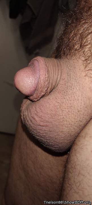 Love the shape of your head.