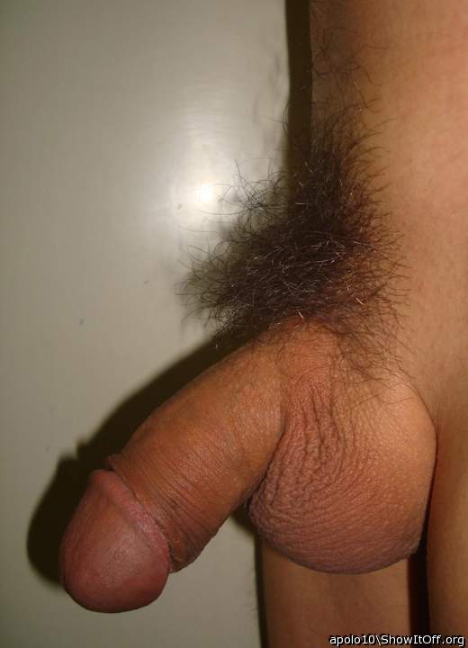 Adult image from apolo10