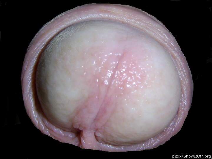 Adult image from pjtxx