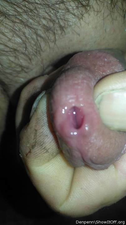 Adult image from Denpenn
