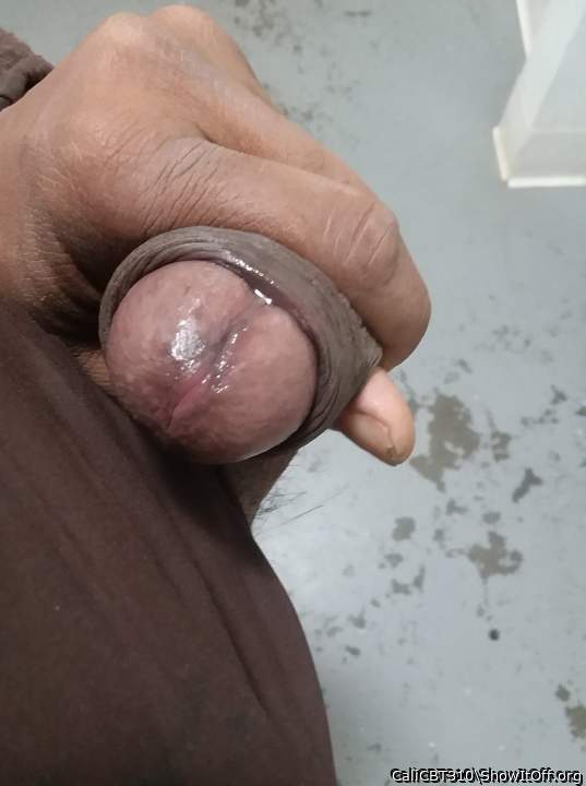 Adult image from CaliCBT310