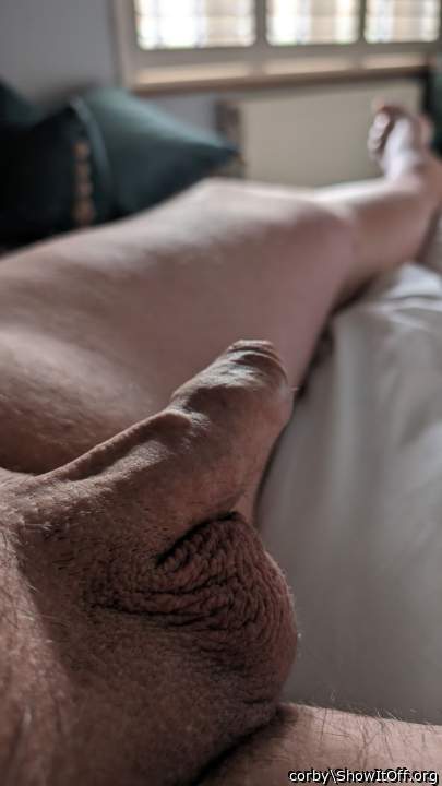 Adult image from corby