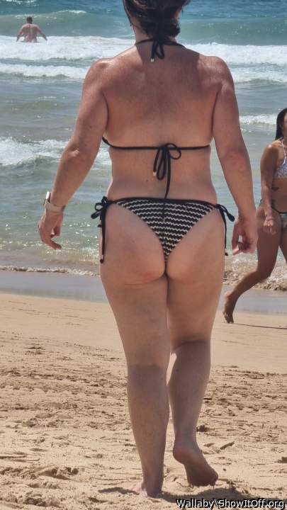 Adult image from Wallaby