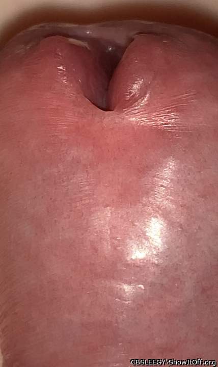 Adult image from CBSLEEGY
