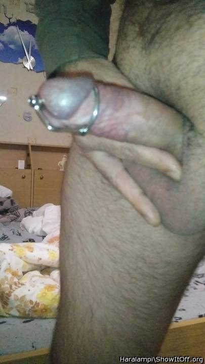 Adult image from Haralampi