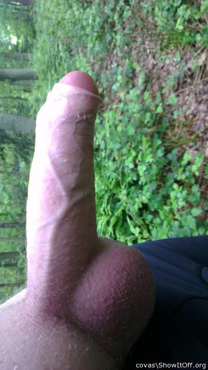 ganz geiles foto, im sch�nen Wald (warst allein?)