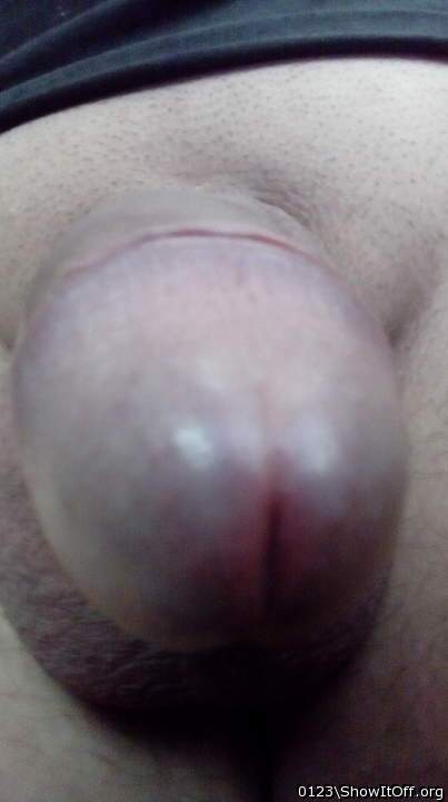 Adult image from 0123