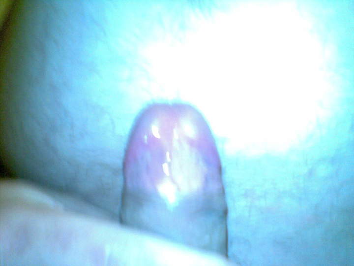 Adult image from 450