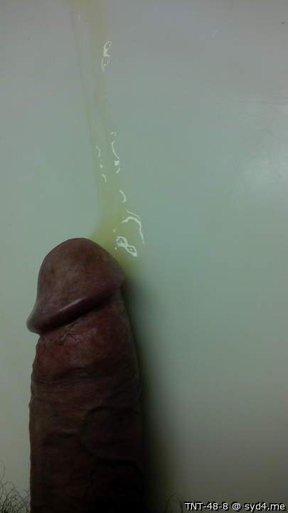 Adult image from TNT-48-8