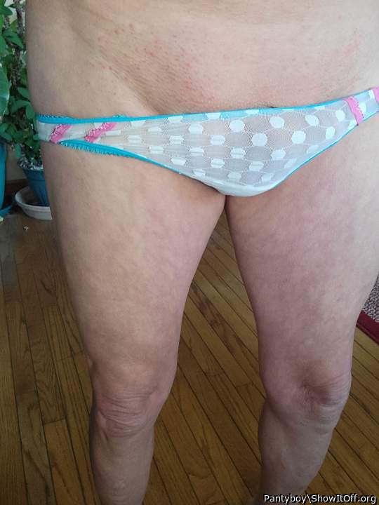 Adult image from Pantyboy