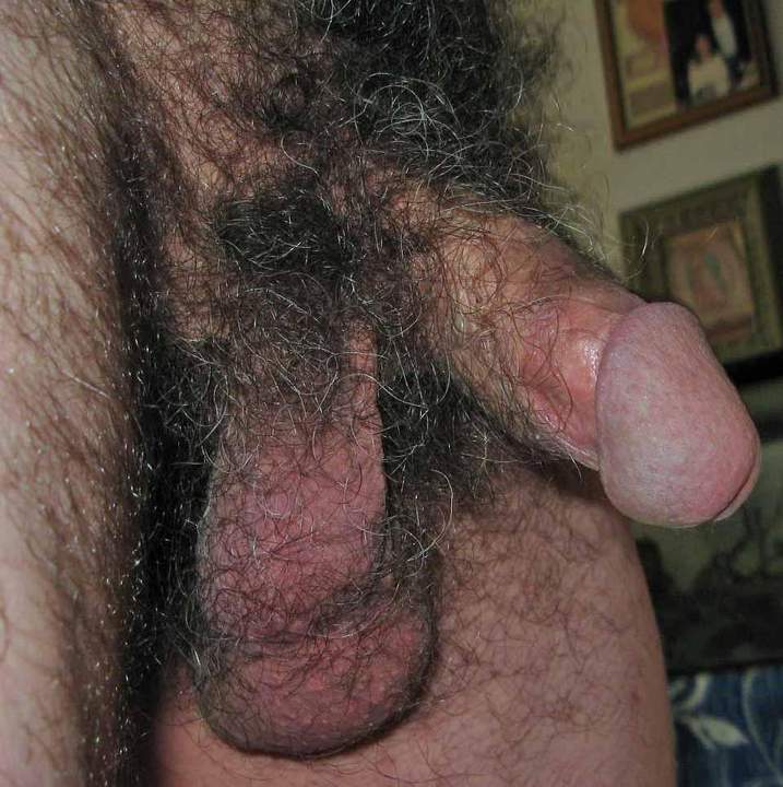 I'll bet that bush would feel good tickling my face.