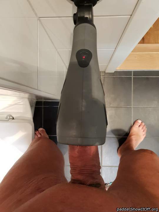 Adult image from padda