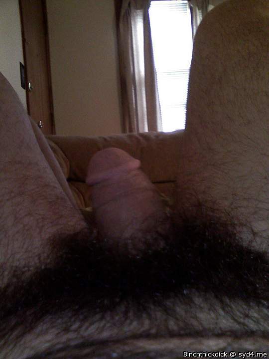 Adult image from 8inchthickdick
