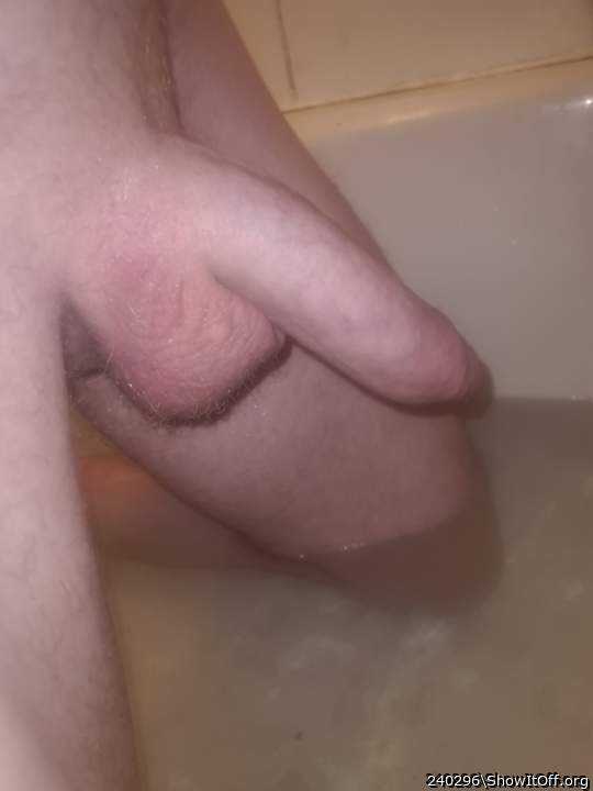Adult image from 240296