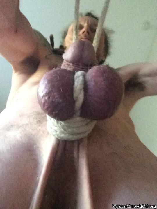 Adult image from Mylicker