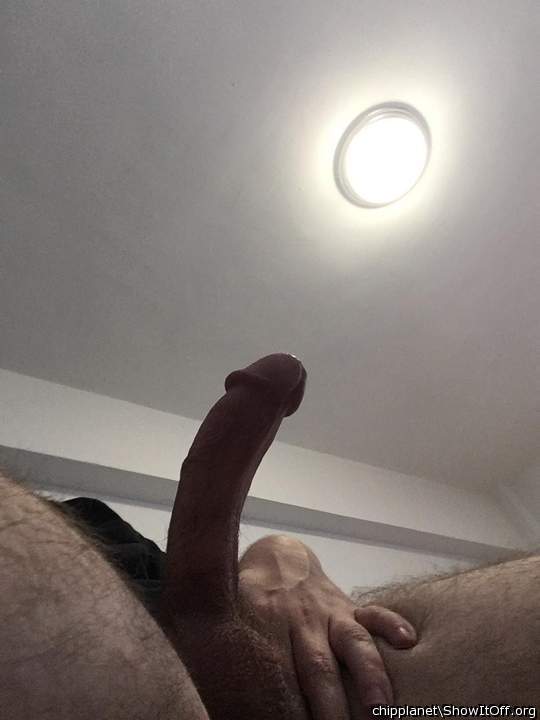 Adult image from chipplanet