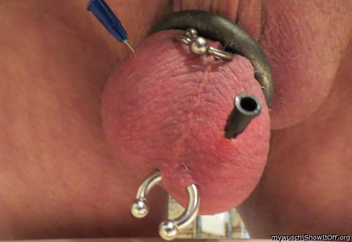 2 needles in balls