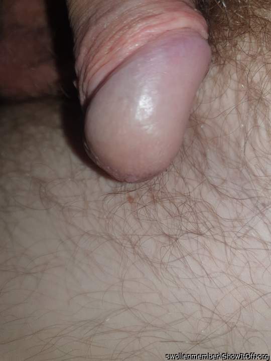 Adult image from swollenmember