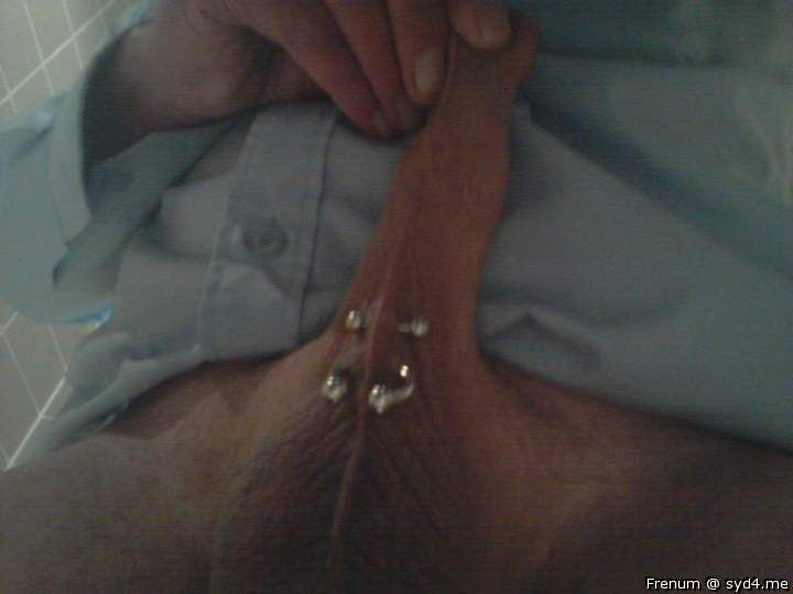 Adult image from Frenum