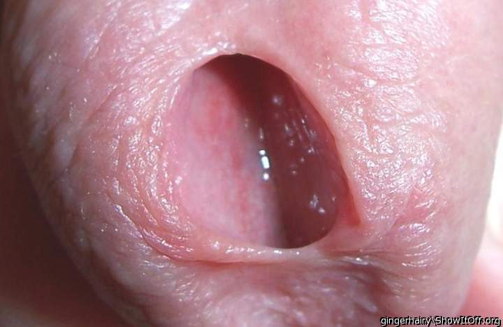 Adult image from gingerhairy