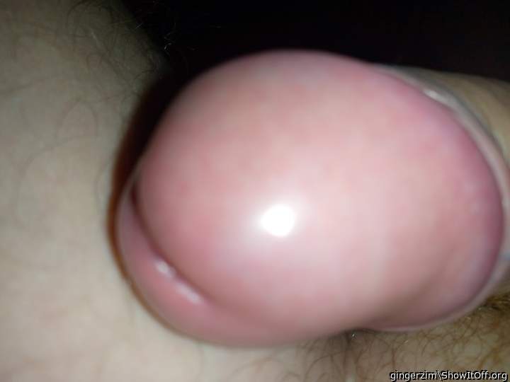 Adult image from gingerzim