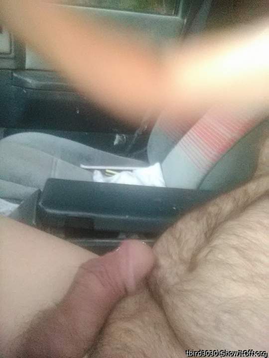 Adult image from tbird3030