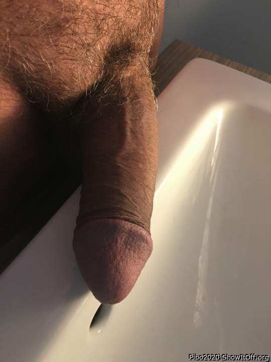 Adult image from Pibo2020