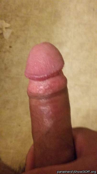 Adult image from panelnerd