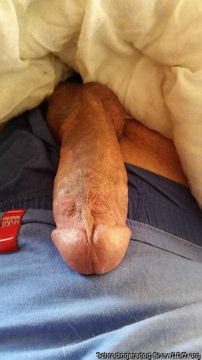 Adult image from schrodingersdog