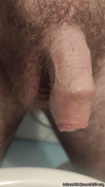 Adult image from AttleeMS
