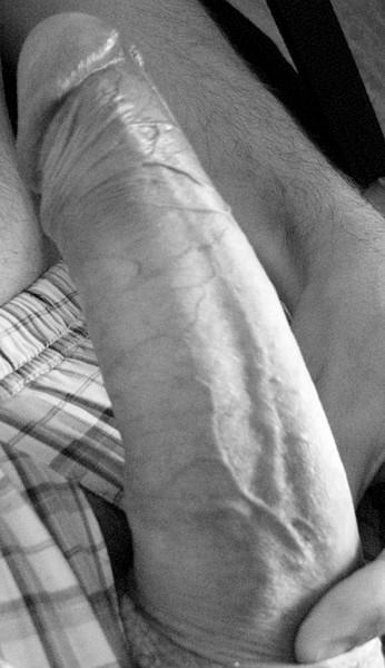 Adult image from Geryon