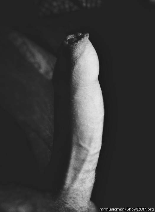 Adult image from mrmusicman
