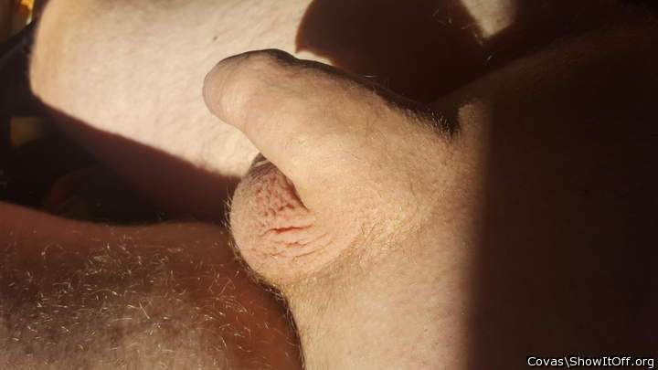 Adult image from covas