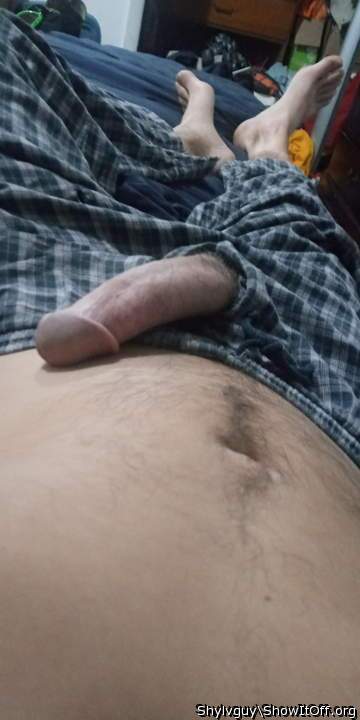Adult image from Shylvguy