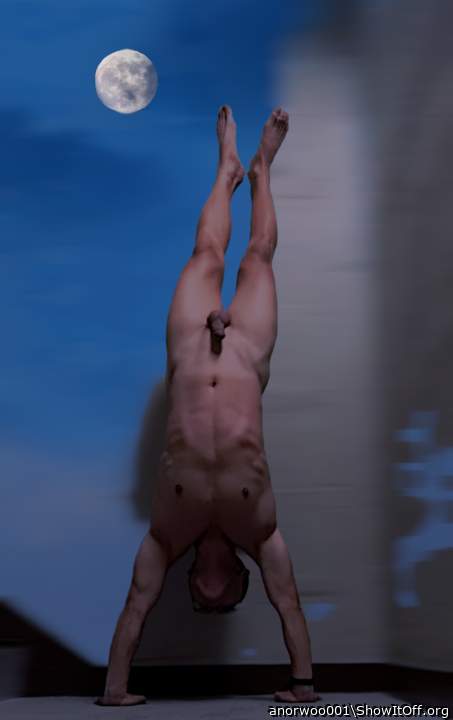 Adult image from anorwoo001