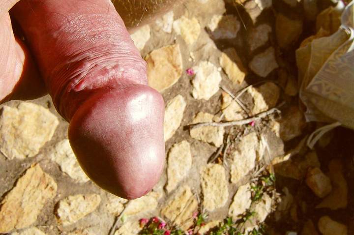 Adult image from cuddles1