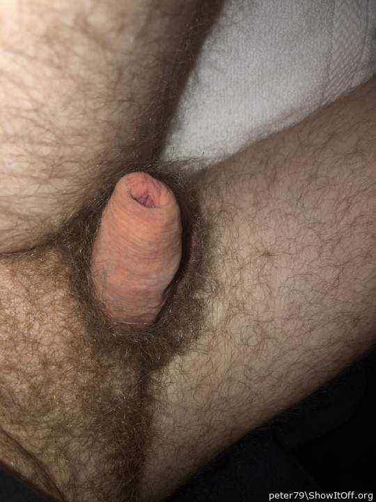 Adult image from peter79