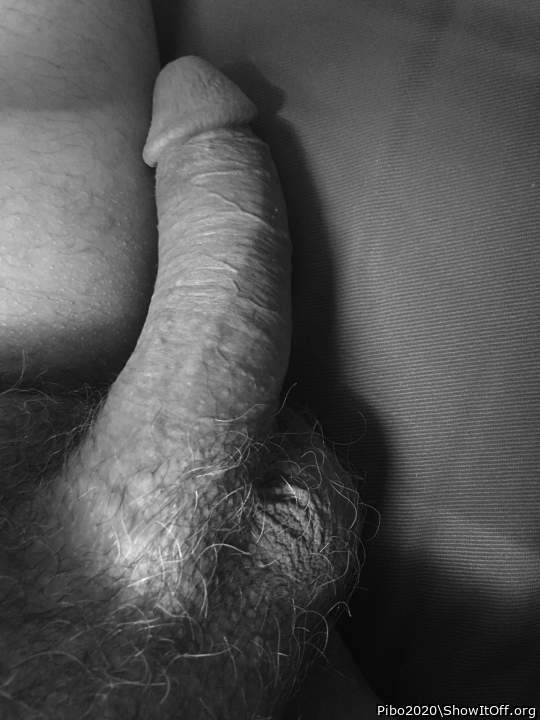 Adult image from Pibo2020
