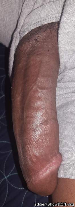 Adult image from eddier